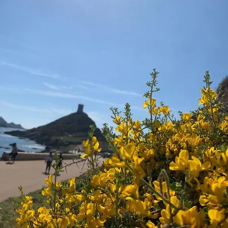 Residence City Suites Ajaccio Lejlighed *