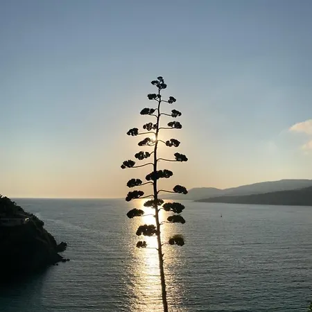 Résidence Ajaccio (Corsica)