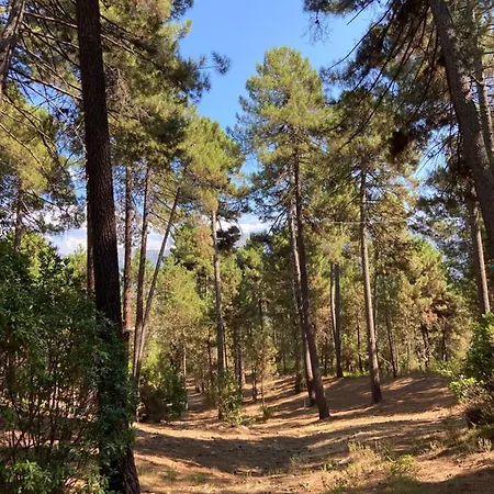 Résidence Appartement